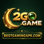 2GO GAME